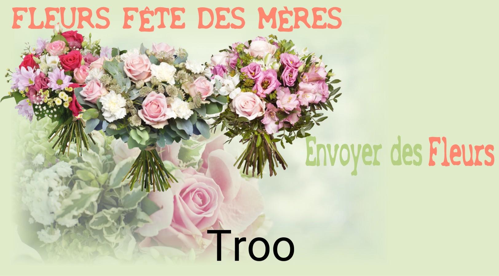 Bouquet de Fête des Mères livré à Troo